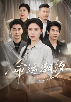 命运潮汐（62集）免费观看就是爽