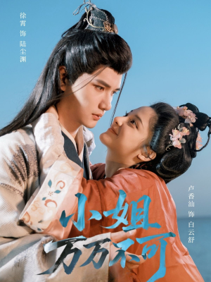 小姐万万不可（74集）热门短剧免费看
