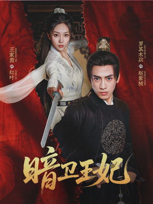 暗卫王妃(60集) 暗卫王妃(60集)评价怎么样