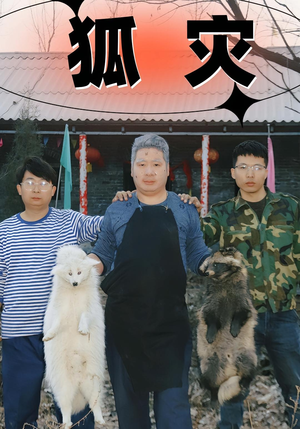 狐灾（25集）在线观看全集
