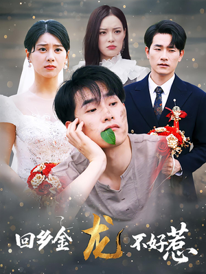 回乡金龙不好惹(74集) 回乡金龙不好惹(74集)全季一次看完