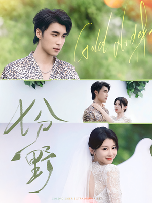 七分野(78集) 七分野(78集)精彩片段