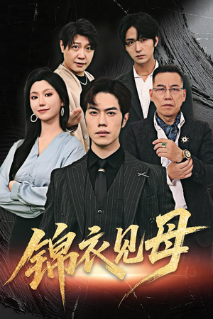 锦衣见母（60集）精彩短剧看全集