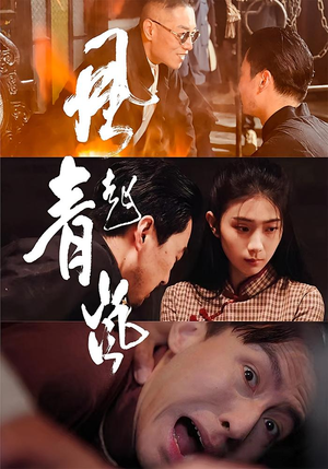 风起青岚（96集）热门短剧追到爽