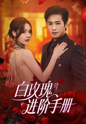 白玫瑰进阶手册（64集）最热门短剧来了