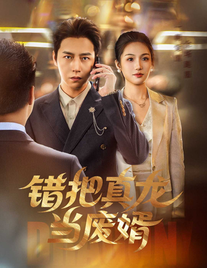 错把真龙当废婿（60集）短剧演员排行榜