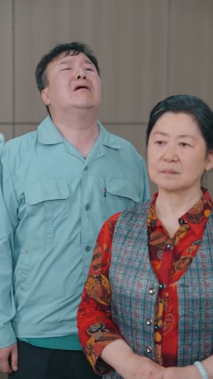一纸风来认旧痕 (33集) 精彩短剧下载