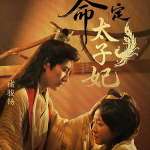 命定太子妃（63集）免费看全集