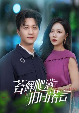 情途难负（83集）精彩短剧看不停