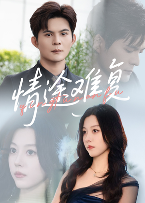 情途难复（50集）免费短剧全集看