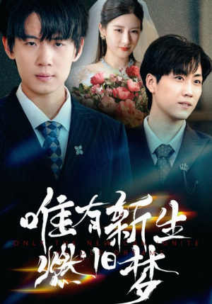 唯有新生燃旧梦（55集）在线看免费版