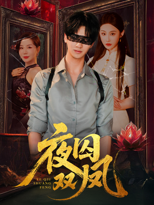 夜囚双凤（46集）免费版