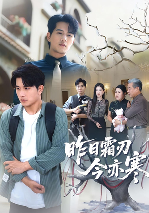 昨日霜刃今亦寒（80集）红果免费短剧