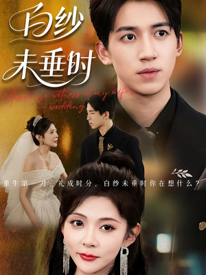 老婆婚礼，我当证婚人&老婆婚礼我当证婚人&白纱未垂时（54集）短剧在哪个平台