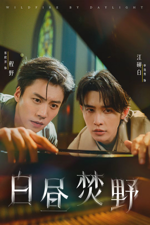 白昼焚野（70集）剧好看短剧推荐