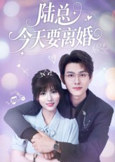 陆总今天要离婚（81集）短剧在哪里看