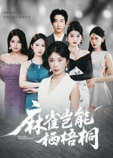 麻雀岂能栖梧桐(31集) 麻雀岂能栖梧桐(31集)每日短剧推荐