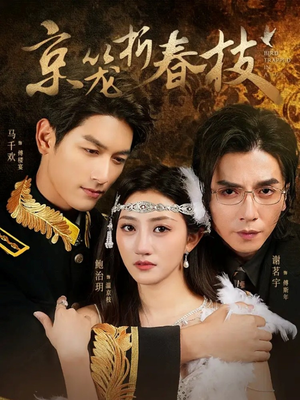 京笼折春枝(79集) 京笼折春枝(79集)短剧视频分享