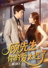 顾先生你的爱太迟了（60集）短剧太精彩