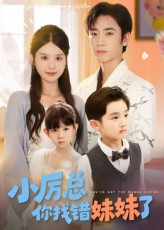 小厉总你找错妹妹了（52集）完整版免费观看