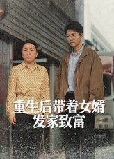 重生后带着女婿发家致富（41集）短剧太好看