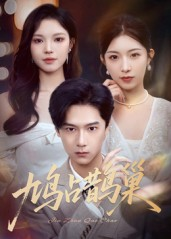 鸠占鹊巢&顶流夫人的致命陷阱（70集）在哪里可以全集