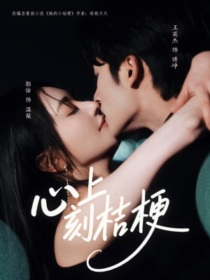 心上刻桔梗（90集）分享好看的短剧