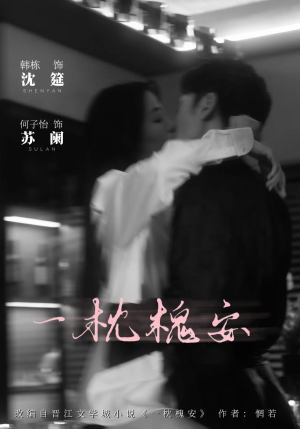 一枕槐安（80集）更新时间一览表