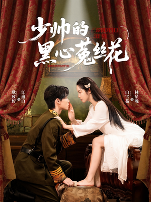 少帅的黑心菟丝花（60集）精彩不断免费看