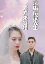 离婚后沈先生天天求复婚（100集）在哪里看