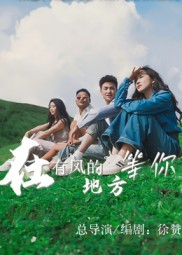 在有风的地方等你（32集）新短剧推荐