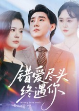 错爱尽头终遇你（60集）在哪里看