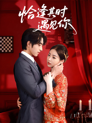 恰逢其时遇见你(60集) 恰逢其时遇见你(60集)在线观看全集