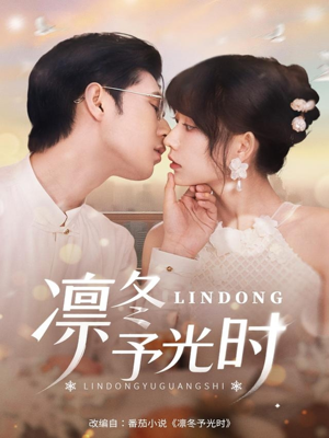 凛冬予光时（60集）红果免费短剧