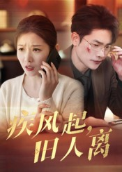 疾风起旧人离(32集) 疾风起旧人离(32集)追短剧太上头了