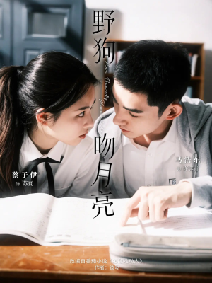 野狗吻月亮（68集）精彩连连免费看