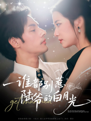 谁都别惹陆爷的白月光（79集）全集完整版