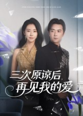 三次原谅后再见我的爱（80集）热播短剧重燃