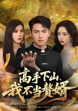 高手下山我不当赘婿（66集）热门短剧大全