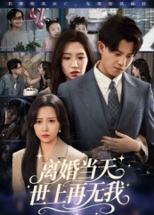 离婚当天世上再无我（60集）短剧热门分享