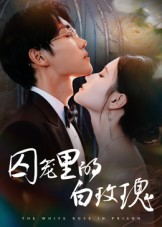 囚笼里的白玫瑰（59集）短剧抢先看全集