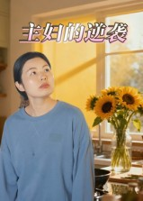 主妇的逆袭（28集）80到100集