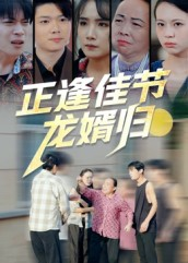 正逢佳节龙婿归（42集）流畅播放免费看