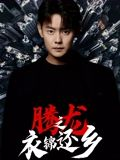 腾龙之衣锦还乡（30集）精彩短剧下载