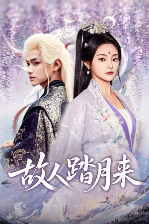 故人踏月来（60集）好看短剧抢先看