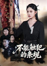 不能触犯的条规（50集）全集一次看完