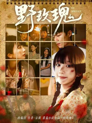 野玫瑰（82集）集免费看短剧