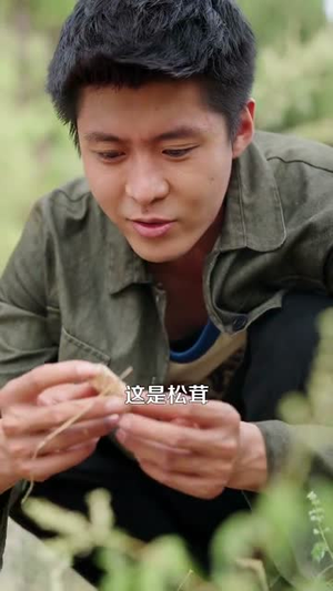 乡村小农民我靠系统发家致富 (100集) 去哪里看
