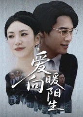 爱向暖阳生（50集）全集免费