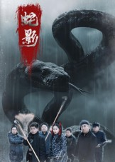 蛇影(25集) 蛇影(25集)热门短剧分享
